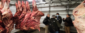 Gobierno y Contracabol buscan consenso para el precio de carne