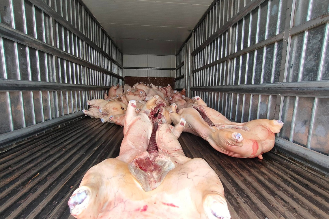 En lucha contra el contrabando encarcelan a tres sujetos y una mujer