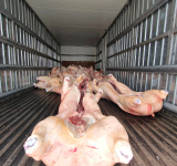 En lucha contra el contrabando encarcelan a tres sujetos y una mujer