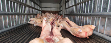 En lucha contra el contrabando encarcelan a tres sujetos y una mujer