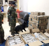 Can antidroga detecta marihuana en almacenes de encomienda