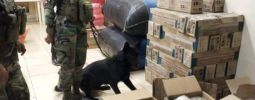 Can antidroga detecta marihuana en almacenes de encomienda