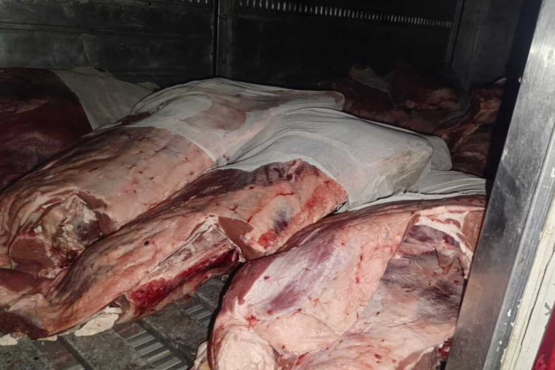 Comisan 95.400 kilos de carne de cerdo y res de contrabando