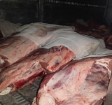 Comisan 95.400 kilos de carne de cerdo y res de contrabando