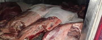 Comisan 95.400 kilos de carne de cerdo y res de contrabando