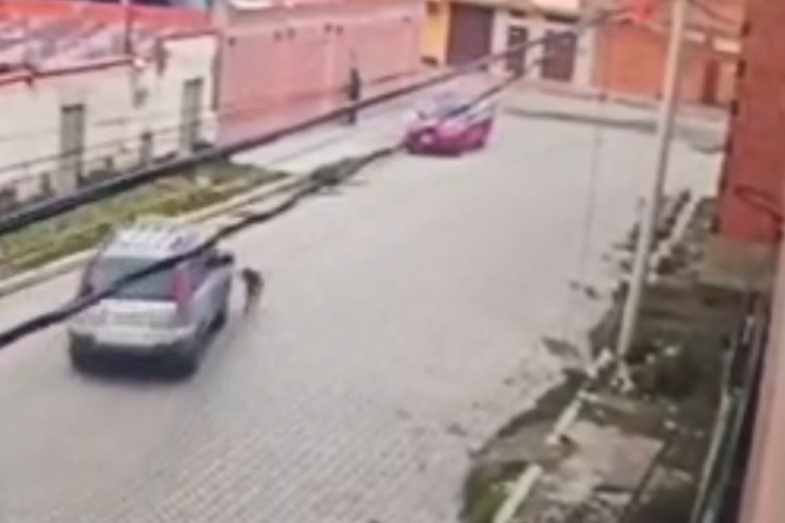 Fiscalía investiga a seis presuntos policías de Diprove por corrupción pública