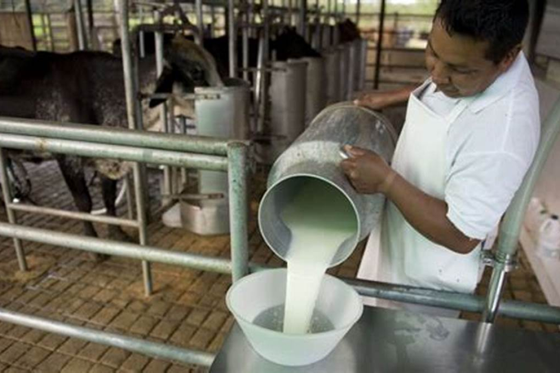 Fondo “Leche para Crecer” busca reducir costos de producción y aumentar el consumo del lácteo