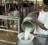 Fondo “Leche para Crecer” busca reducir costos de producción y aumentar el consumo del lácteo