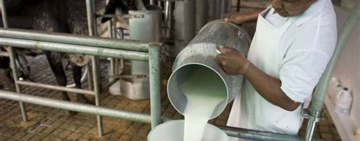 Fondo “Leche para Crecer” busca reducir costos de producción y aumentar el consumo del lácteo