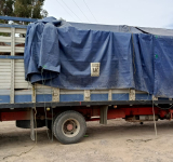 Navales comisan dos camiones con 28 cabezas de ganado equino