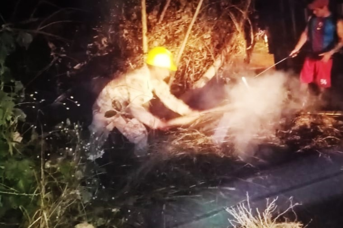 PGE impulsa diseño de Protocolo Investigativa Forense sobre Incendios Forestales 