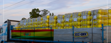 Arriban más de 1.600 cilindros para impulsar la conversión a GNV del parque automotor nacional 