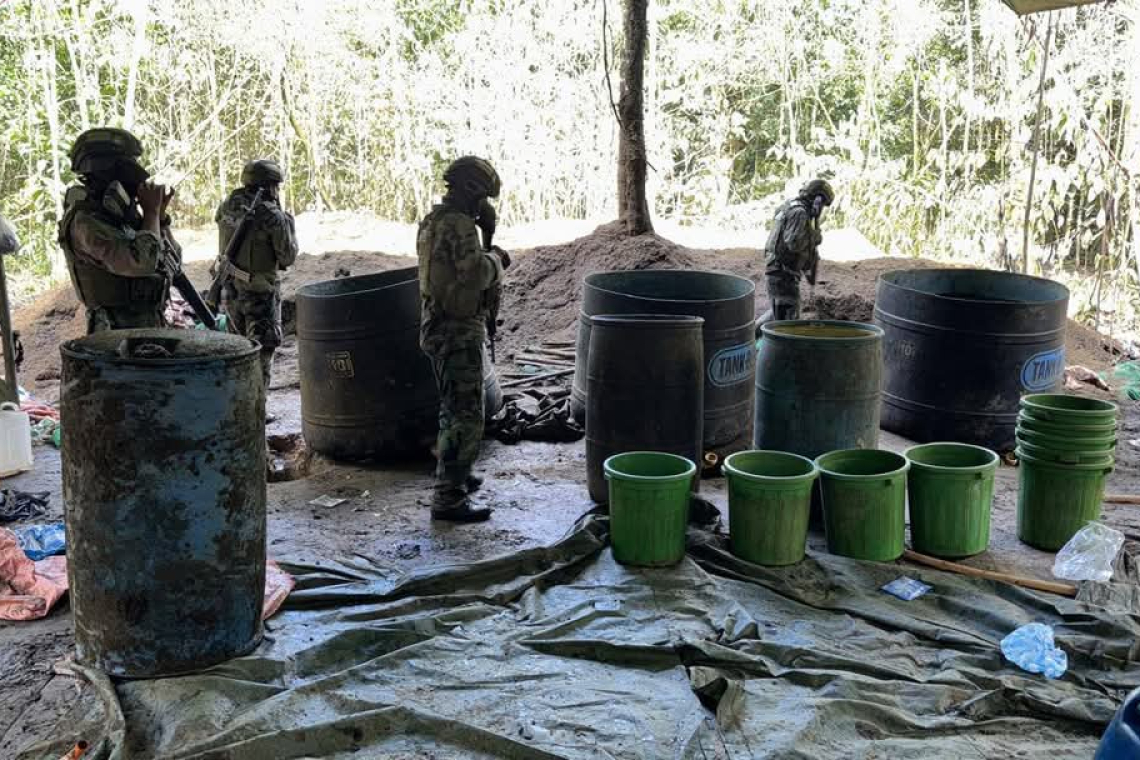 Desmantelan 11 factorías y se incauta 254 kilos de sustancias controladas