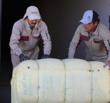Bolivia exporta 14 toneladas de fibra de llama lavada a China