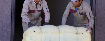 Bolivia exporta 14 toneladas de fibra de llama lavada a China