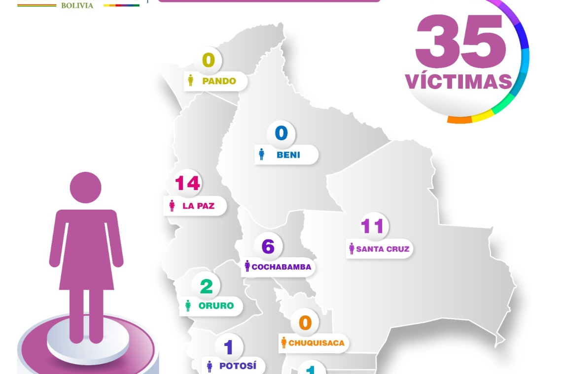 En Bolivia reportan 35 casos con Feminicida de mujer embarazada