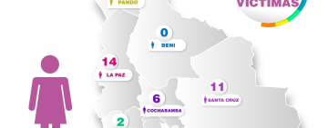 En Bolivia reportan 35 casos con Feminicida de mujer embarazada