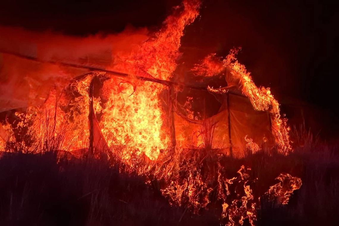 Hallan 15 viveros de marihuana e incineran una tonelada en el Norte de Potosí