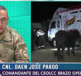 Carnes, huevo, harina, maíz y azúcar son los productos más incautados por el Comando de Lucha Contra el Contrabando