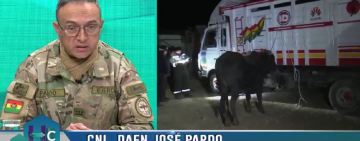 Carnes, huevo, harina, maíz y azúcar son los productos más incautados por el Comando de Lucha Contra el Contrabando