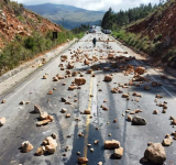 INE señala que el bloqueo evista incidió en 100% en la inflación del 5,21% de junio 