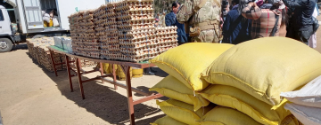 En el primer semestre del 2025 el CEO afectó al contrabando en más de Bs62.9 MM