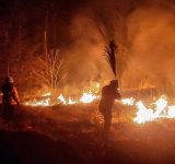 Auditoría forense revela que el 90% de los incendios forestales en Bolivia son provocados