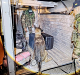 Can antidroga “Silvia” halla marihuana camuflada en equipaje