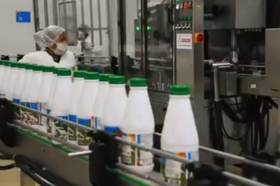 Industria de leche de Achacachi consolida provisión a subsidios y suplemento alimenticio escolar en municipios