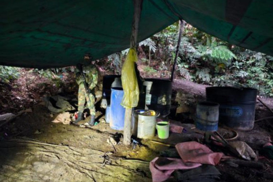 Destruyen 20 fábricas móviles de droga en el Chapare en un día