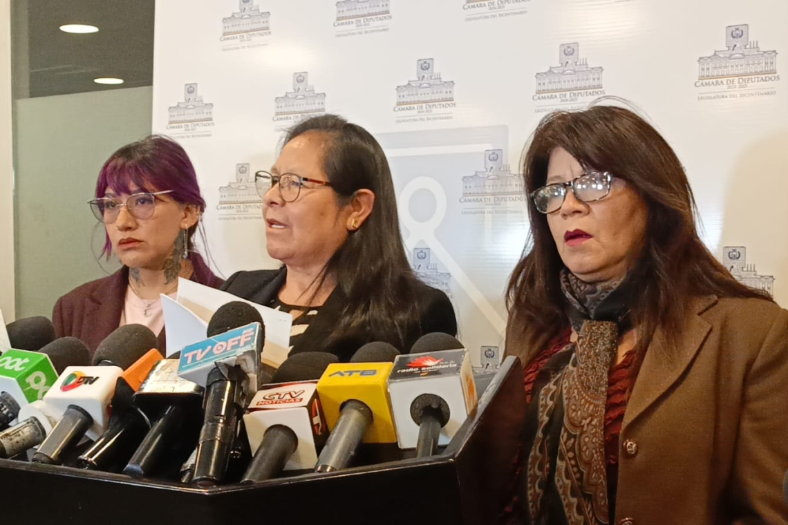 Diputados investigaran pago estatal de $us 357 millones al Grupo Bulgheroni