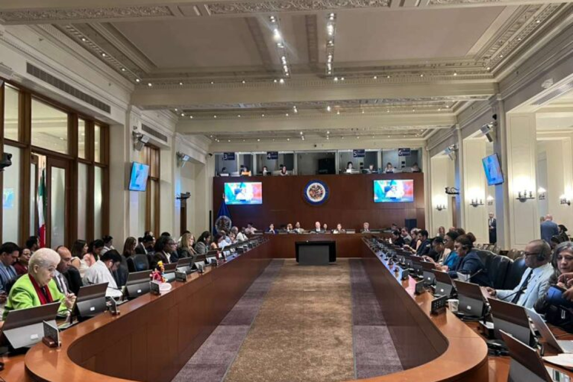 Bolivia urge en la OEA adoptar medidas para garantizar derechos de los pueblos indígenas