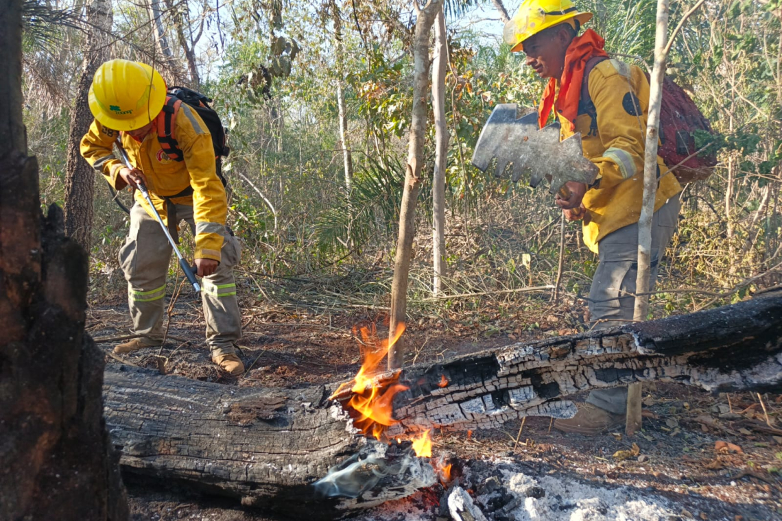 Marinos controlan incendio forestal en comunidad de Palmarito, en Santa Cruz 