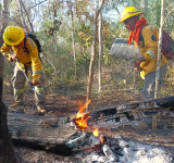 Marinos controlan incendio forestal en comunidad de Palmarito, en Santa Cruz 