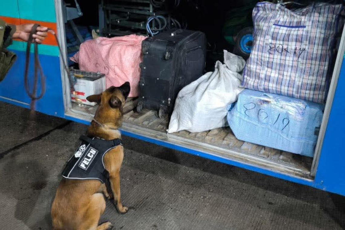 Can “Vasko” detecta y evita tráfico de marihuana camuflada en calzados