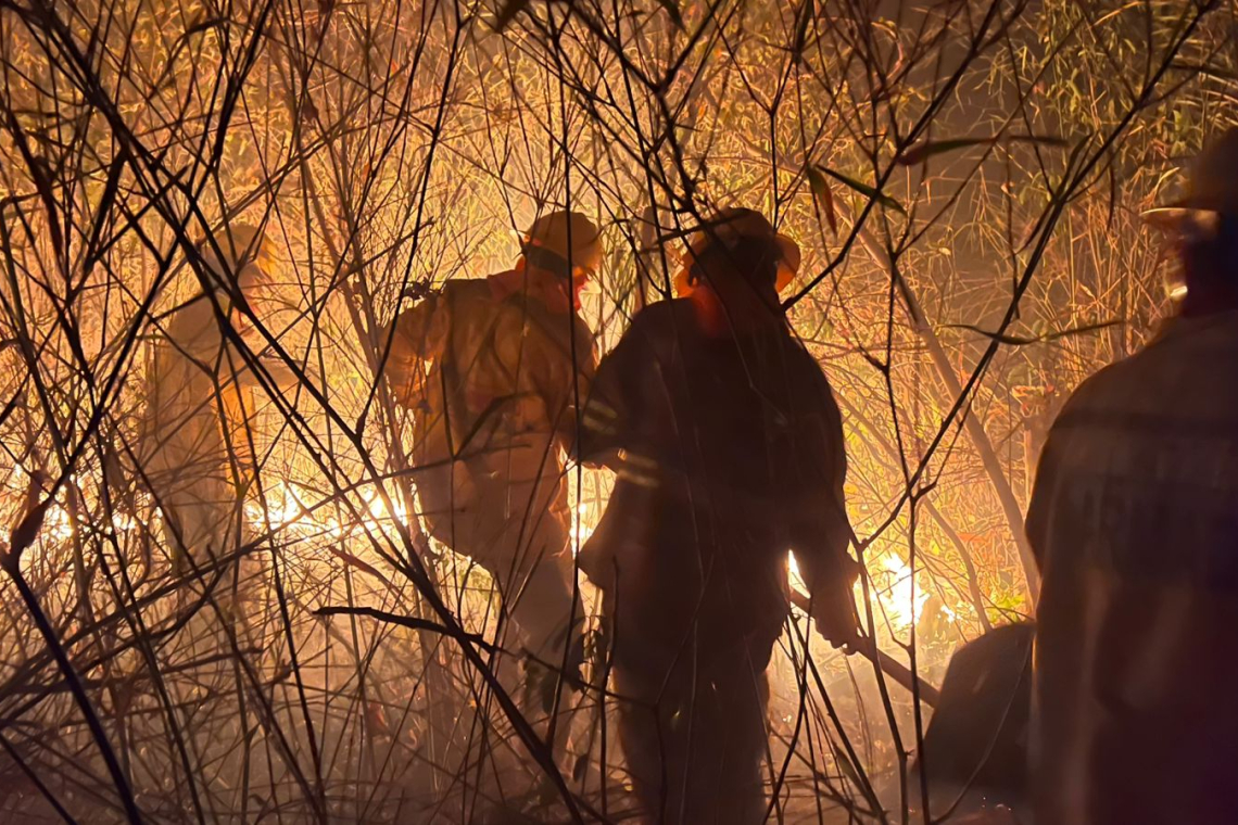Navales controlan incendio forestal en San Jorge-Santa Cruz