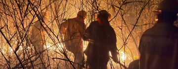 Navales controlan incendio forestal en San Jorge-Santa Cruz