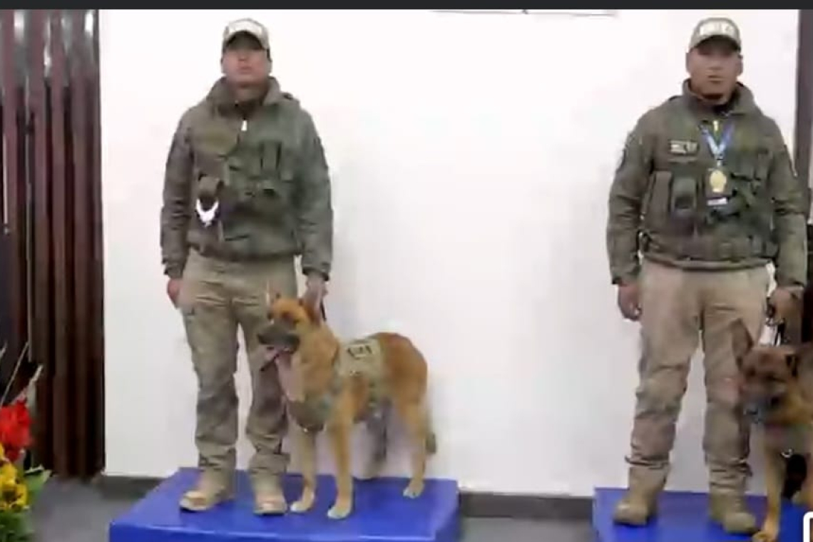 Aduana condecora a dos héroes silenciosos en detectar divisas, canes con grado de oficiales