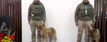 Aduana condecora a dos héroes silenciosos en detectar divisas, canes con grado de oficiales