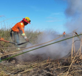 Bolivia confirma control total de incendios forestales en todo el país