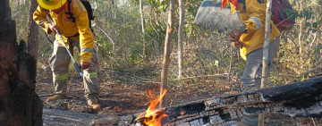 FFAA sofocan más de 90 incendios forestales: Defensa Civil alerta sobre “ataques criminales” a reservas