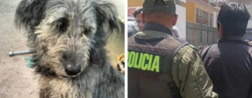 Biocida de un cachorro en El Alto será enviado a San Pedro y aún se busca a un segundo implicado