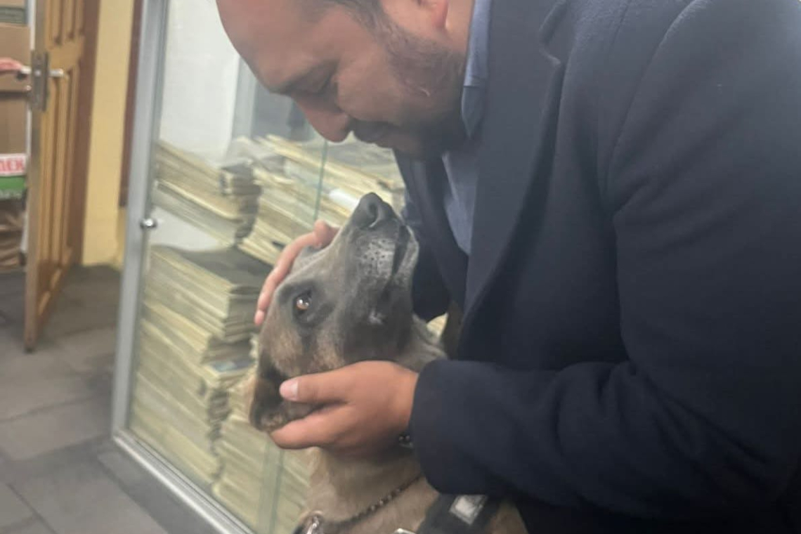 El olfato de Daira y su guía frustran tráfico de 2 kls de clorhidrato a Hong Kong