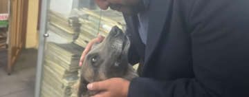 El olfato de Daira y su guía frustran tráfico de 2 kls de clorhidrato a Hong Kong