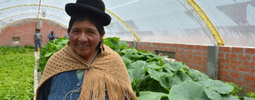 En Achocalla entregan 74 invernaderos para producir 108 toneladas de hortalizas al año