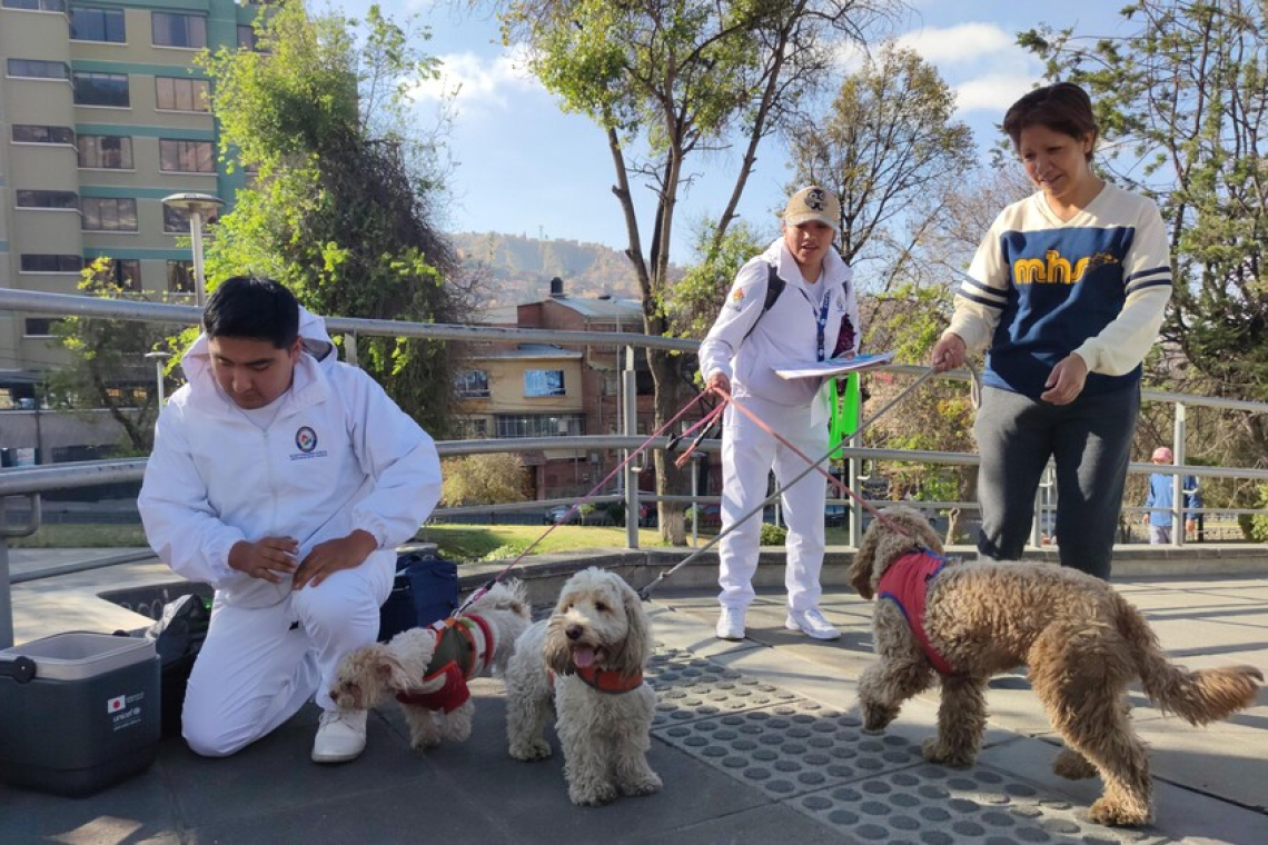 Nuevo caso de rabia canina en Sucre, suman 38 los contagios y se prepara campaña de vacunación