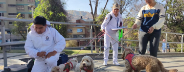 Nuevo caso de rabia canina en Sucre, suman 38 los contagios y se prepara campaña de vacunación