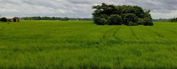 INRA advierte que el bloqueo al crédito del BID por $us 40 millones impide frenar avasallamientos y conflictos agrarios en el país