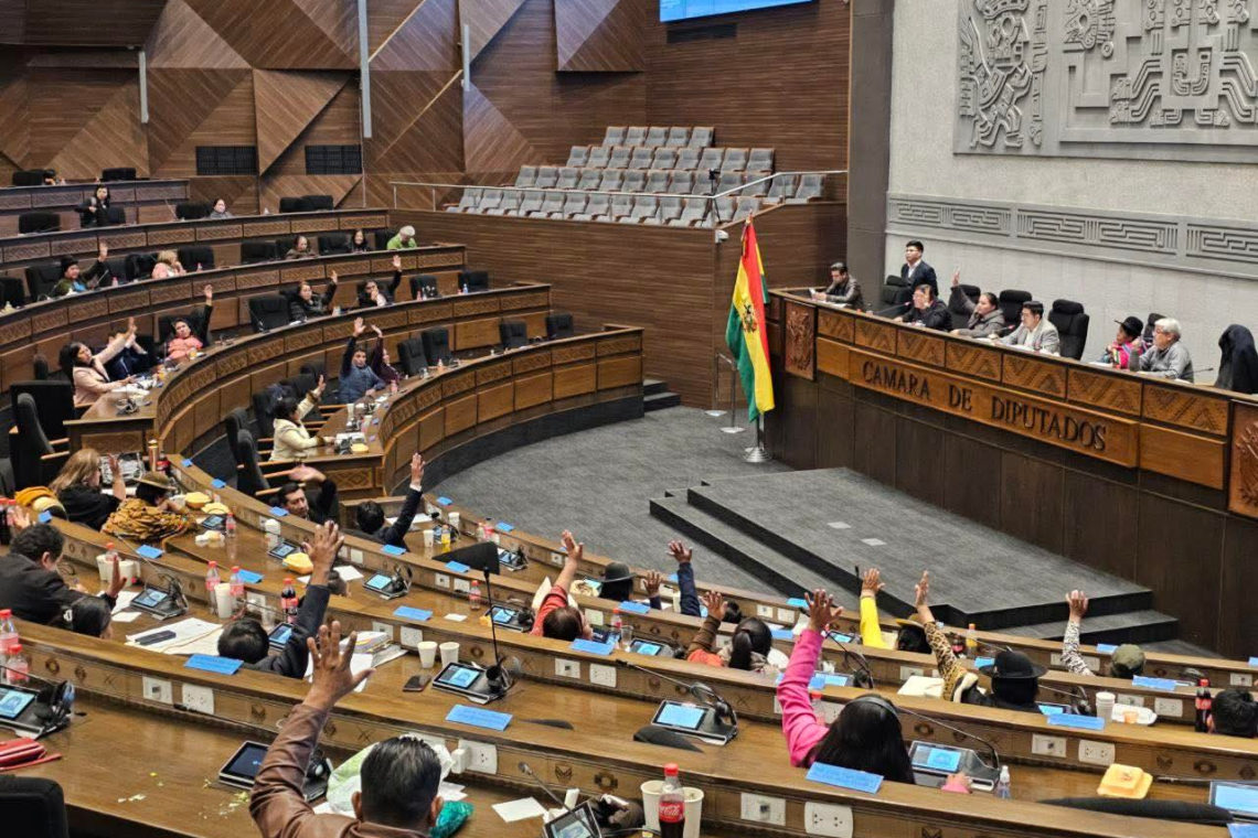 Gobierno advierte que el daño ya fue hecho por el freno del Legislativo a 19 créditos por más de $us 1.667 millones