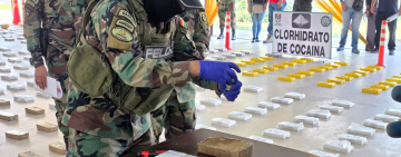 FELCN incauta 724 kilos de droga y se afecta al ilícito en $us 1.215.435